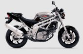 2007 UM V2S-650 photo